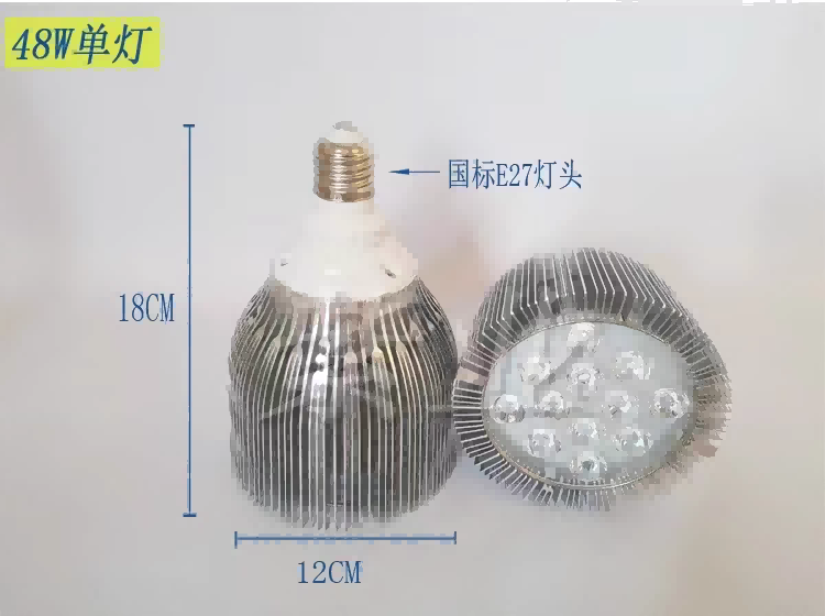 光氯化试验灯